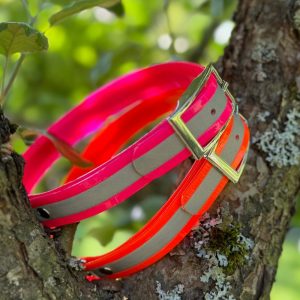 Firedog Biothane Halsband Reflect
