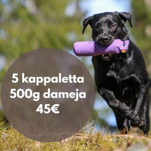 Assemble your own 500g dummy set, 5 pieces