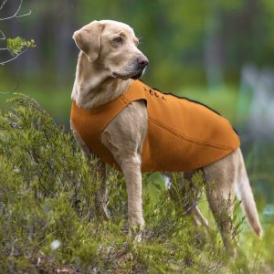 Lost Birds Neoprene Vest for Dogs Orange