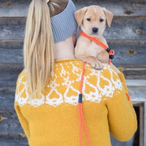 NK Retrieval Leash Gentle
