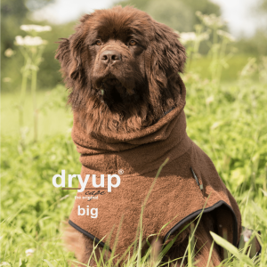 Dryup Cape Big Brown