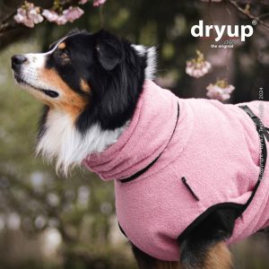 Dryup kuivausloimi Rose