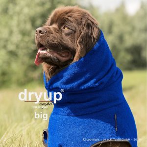 Dryup Cape Big Blueberry