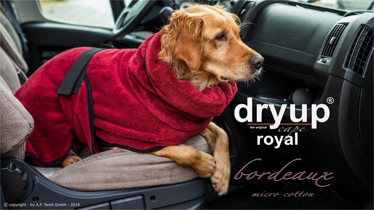 Dryup cape Royal Bordeaux