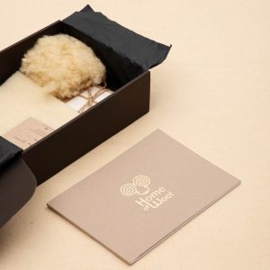Sample Box & Product Catalog
