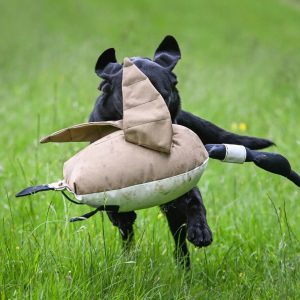 Sporting Saint Dead Bird Dummy Goose Hanhi